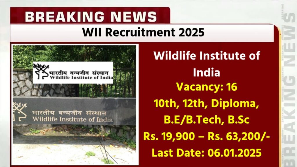 WII Recruitment 2025